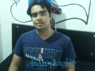 HairybigHo