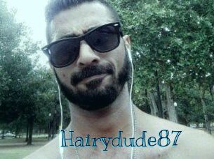 Hairydude87