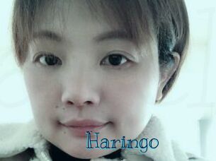 Haringo