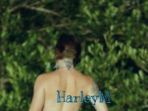 HarleyM