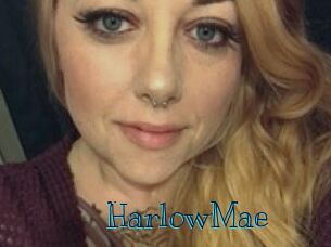 Harlow_Mae