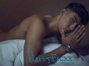 HarryBigxx