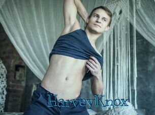 HarveyKnox