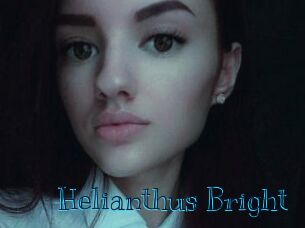 Helianthus_Bright