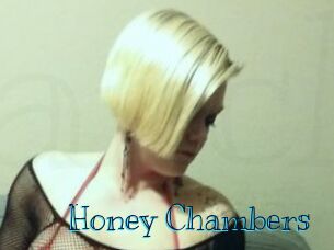 Honey_Chambers Archive DVD BIZ