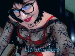 Hotcamlive Archive DVD BIZ