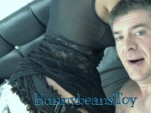 HunnybeansToy