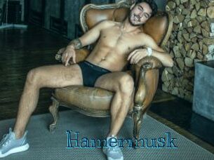 Hamermusk