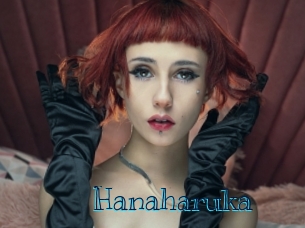 hanaharuka Archive DVD BIZ