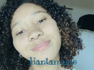 Hantamarie