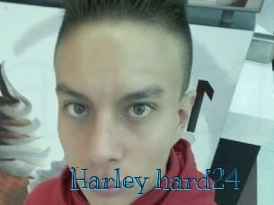 Harley_hard24