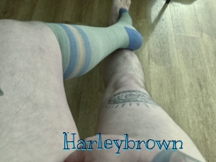 Harleybrown