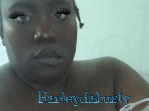 harleydabusty Archive DVD BIZ
