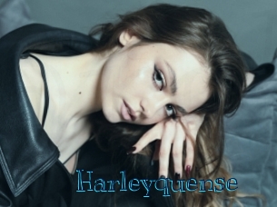 Harleyquense