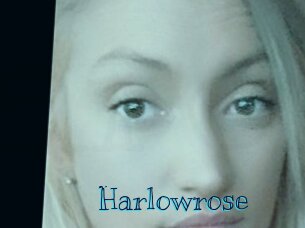 Harlowrose