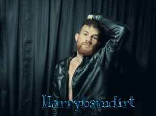 Harrybsmdirt