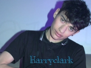harryclark Archive DVD BIZ
