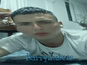 Harrydubois