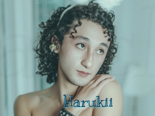harukii Archive DVD BIZ