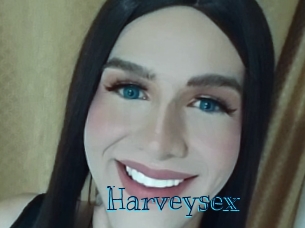 harveysex Archive DVD BIZ