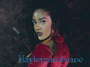 Hayleyzambrano
