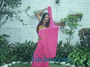 Hederrose