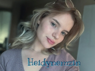 heidynemzin Archive DVD BIZ