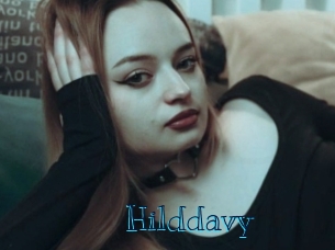 hilddavy Archive DVD BIZ