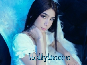 hollylincon Archive DVD BIZ