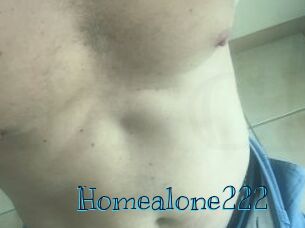 Homealone222