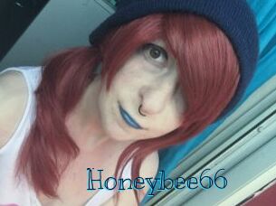 Honeybee66