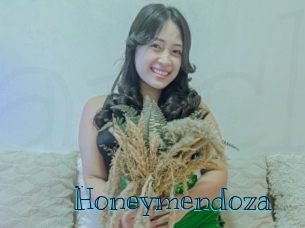honeymendoza Archive DVD BIZ