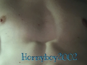 Hornyboy2002