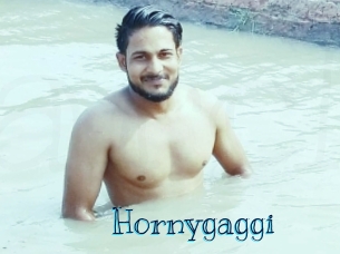 Hornygaggi