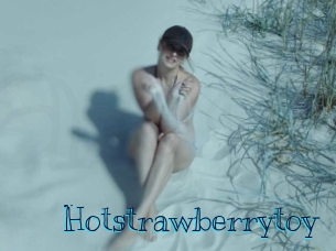 Hotstrawberrytoy