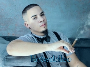hotwildleo Archive DVD BIZ