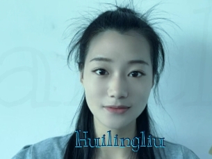 huilingliu Archive DVD BIZ