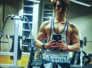 hunkmale Archive DVD BIZ
