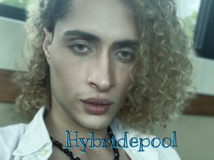 Hybridepool