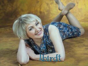 Ibirdt