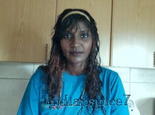 Indianspice7