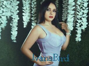 IvanaBird