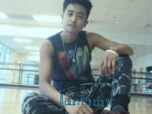 Iam_mrv
