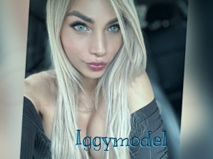 Iggymodel