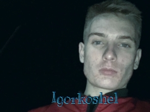 Igorkoshel
