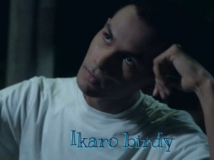 Ikaro_birdy
