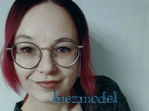 Inezmodel