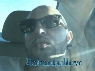 italianbullnyc Archive DVD BIZ