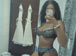 itscece Archive DVD BIZ