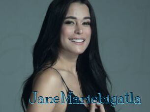 JaneMariebigatla
